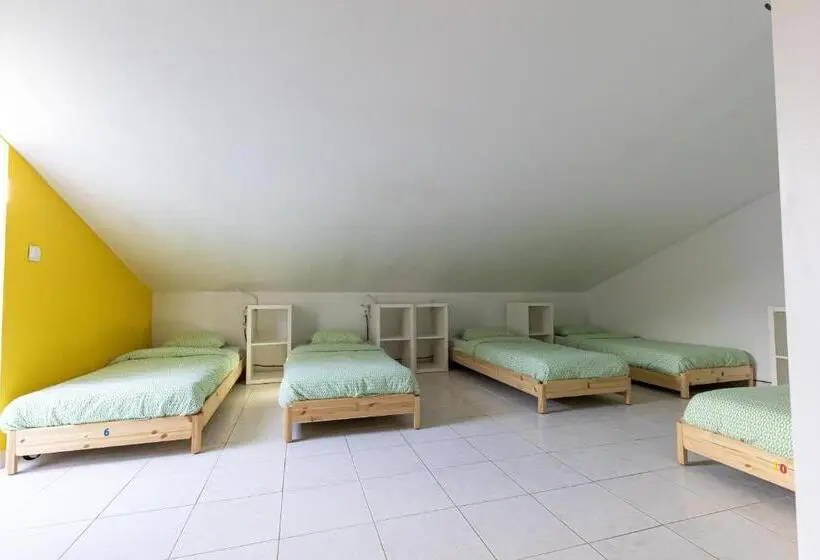 ルームシェアのワンベッド, Pineapple Surf House