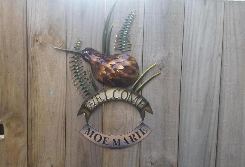 חדר סופריור, Moe Marie Sleep Peacefully