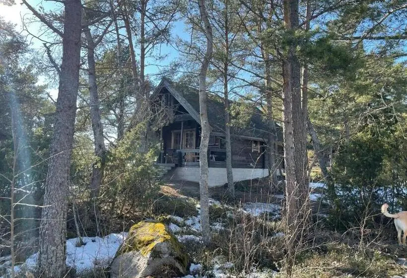 Hytte, Spauna