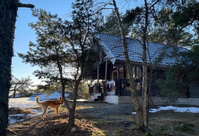 海景标准平房, Spauna