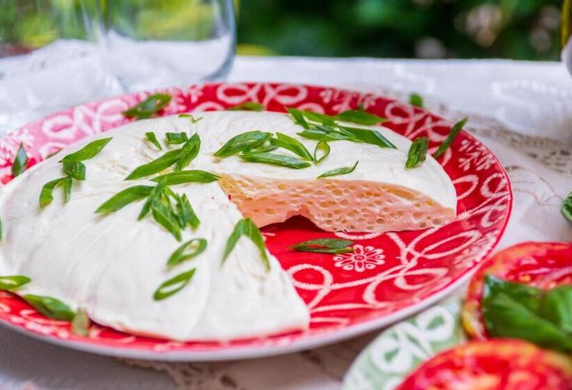 غرفة قياسية, Grancharova Guest House