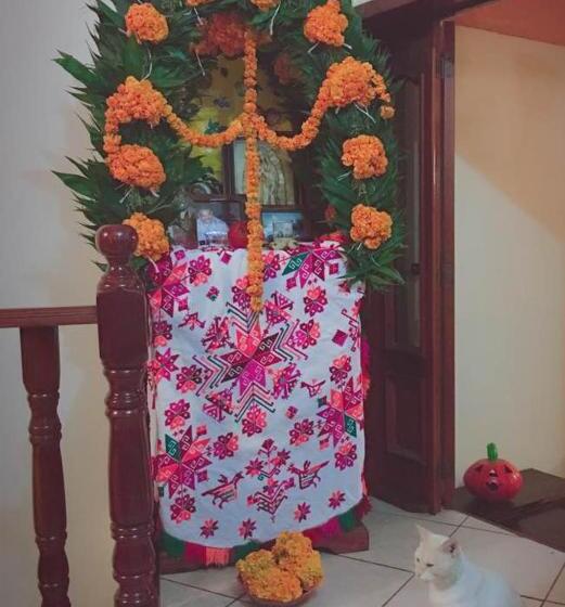 חדר סטנדרט, Posada Familiar El Dorado