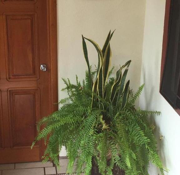 חדר סטנדרט, Posada Familiar El Dorado