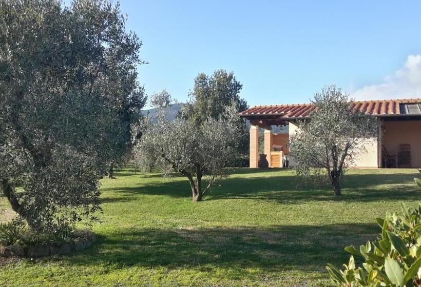 استودیو استاندارد با چشم‌انداز باغ, Agriturismo Casa Andreina