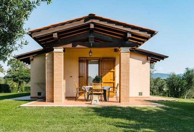 استودیو استاندارد با چشم‌انداز باغ, Agriturismo Casa Andreina