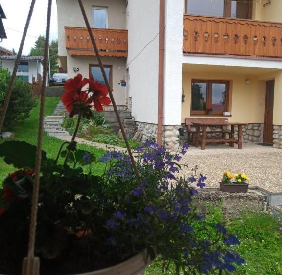 Номер Стандарт, Sifra 276