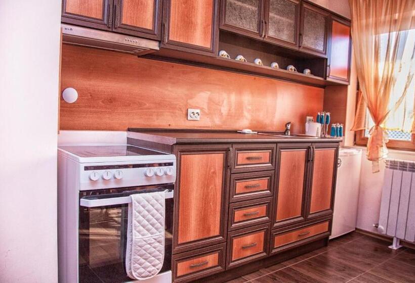 带1个卧室的豪华公寓, Valevitsata Guesthouse