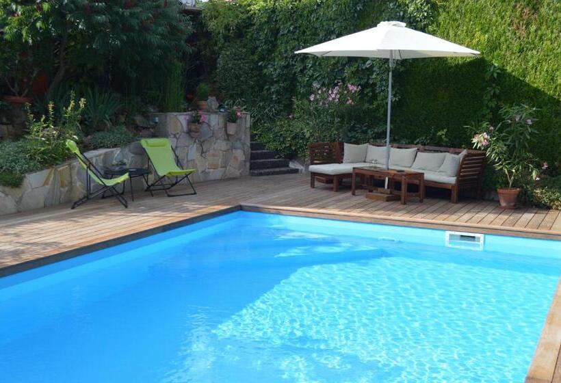 패밀리 룸, Côté Vignes