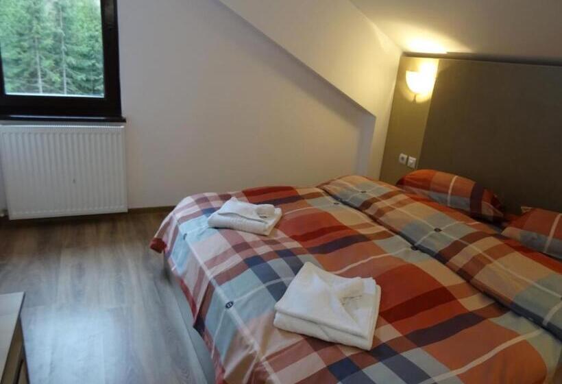 חדר סטנדרט עם מרפסת, Complex Vila Balea