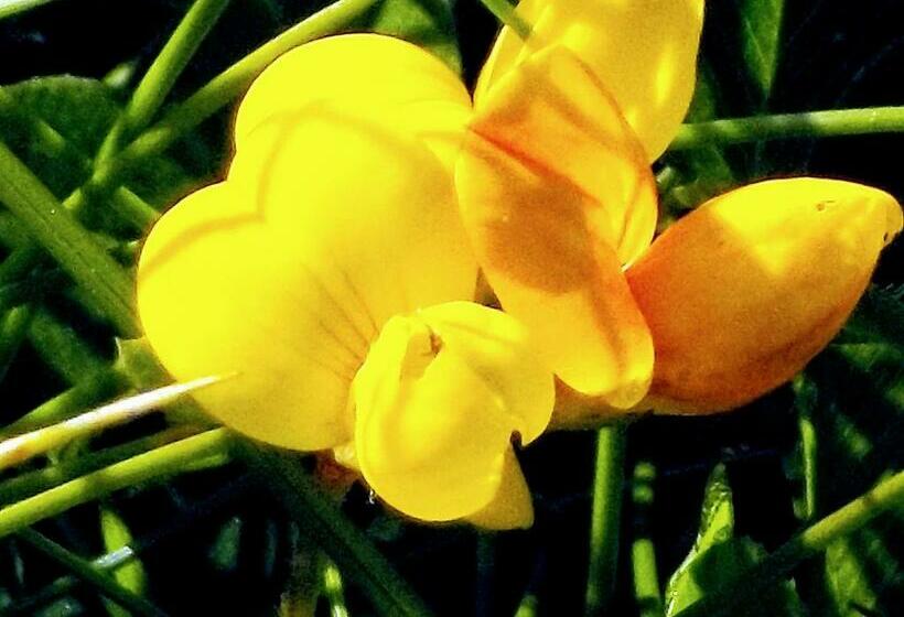 חדר אקונומי יחיד, Horizon View Lodge Bed And Breakfast Glanleam Road Knightstown Valentia Island County Kerry V23 W447