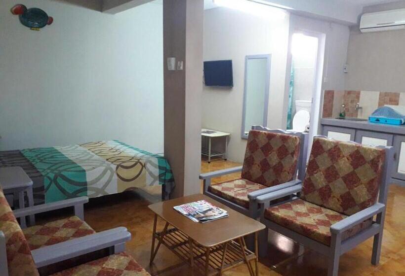 استودیوی استاندارد, Centraville