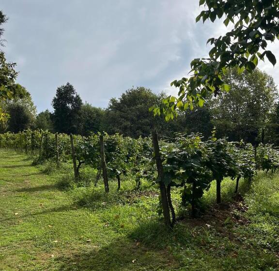 Номер Стандарт, Quinta Da Chouza Agroturismo E Enoturismo