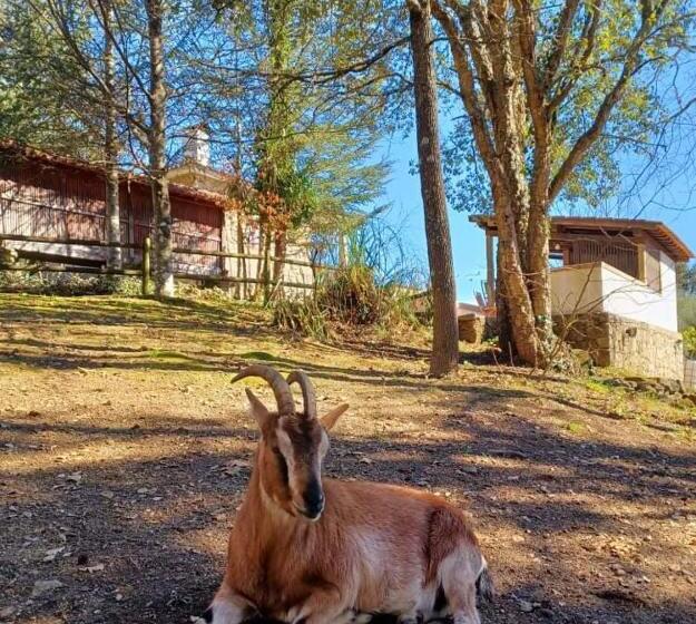 스탠다드 룸, Quinta Da Chouza Agroturismo E Enoturismo