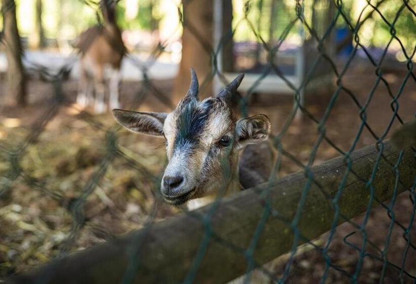스탠다드 룸 호수 전망, Quinta Da Chouza Agroturismo E Enoturismo