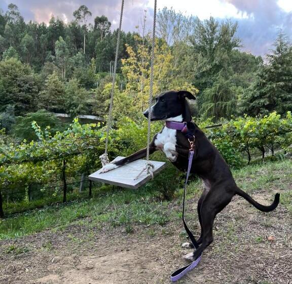 침실 3개 빌라, Quinta Da Chouza Agroturismo E Enoturismo