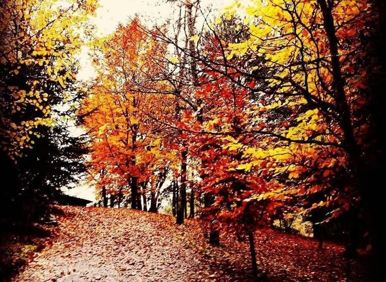 침실 3개 빌라, Quinta Da Chouza Agroturismo E Enoturismo