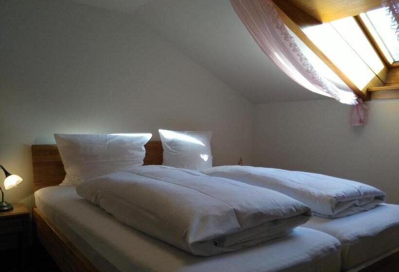 Апартаменты 1 Спальня с Видом, Berghof Mehlan