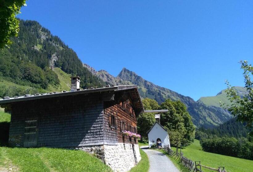 Апартаменты 1 Спальня с Видом, Berghof Mehlan