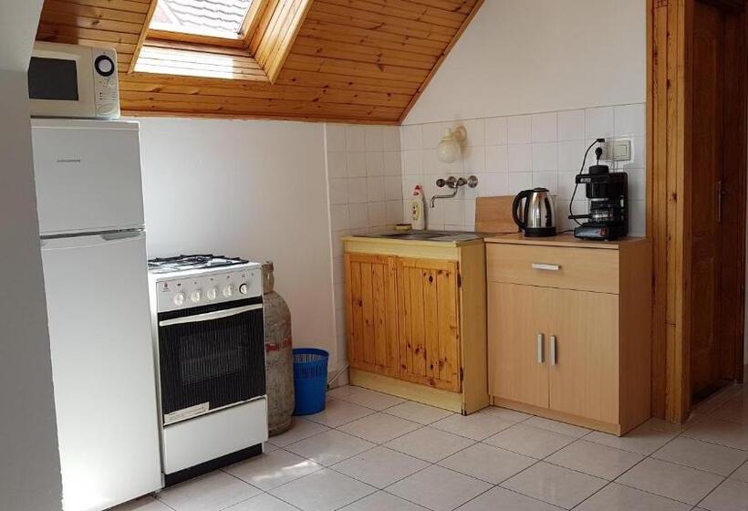 Standardrum, Szatmári Vendégház