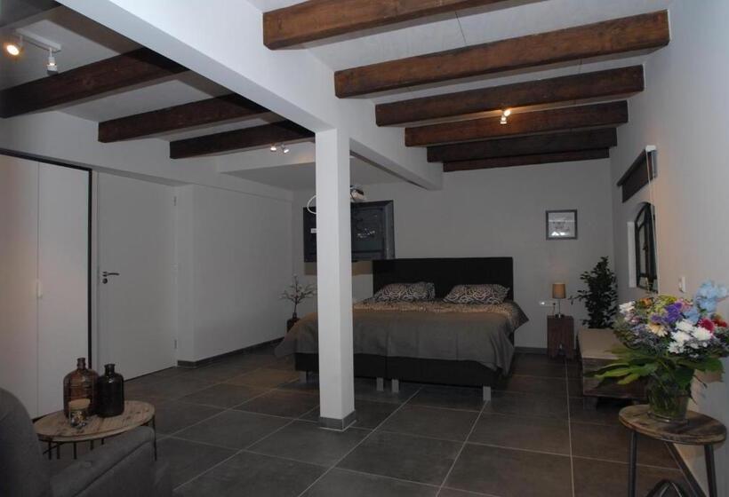 身障者適用スタンダードルーム, B&b De Kaagse Boer