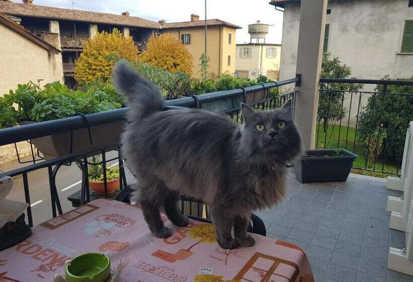 חדר סטנדרט עם מרפסת, Affittacamere Erbagatta