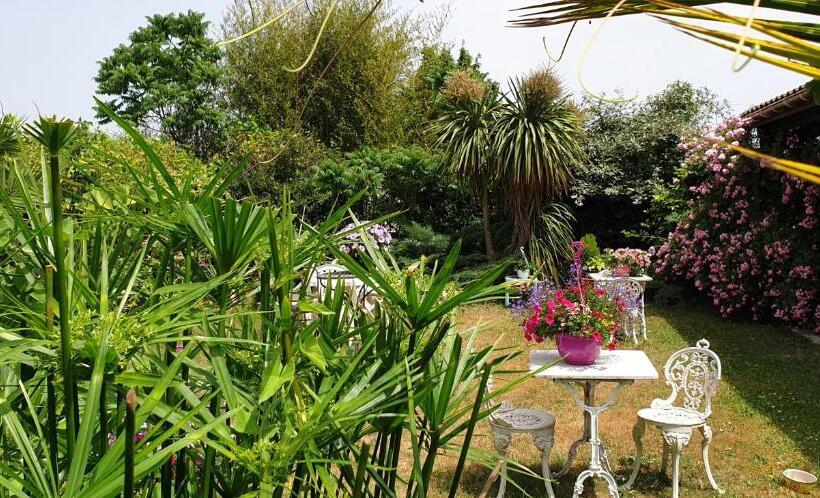 스탠다드 룸, Chambres Du Petit Bonheur