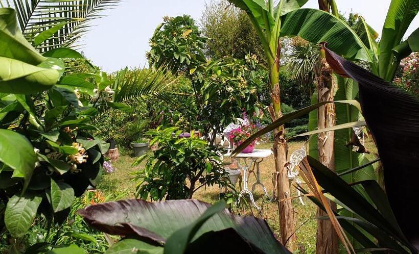 스탠다드 룸, Chambres Du Petit Bonheur