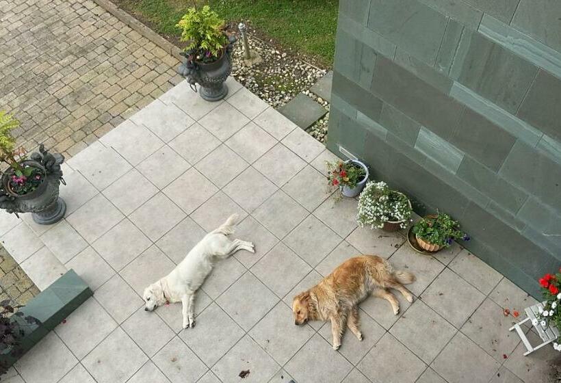 패밀리 룸, Hazelwood Country House