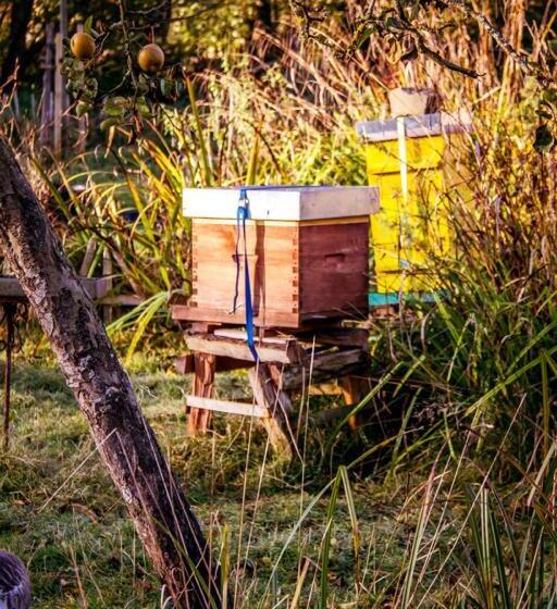 ２ベッドルームハウス, Le Pré Doré