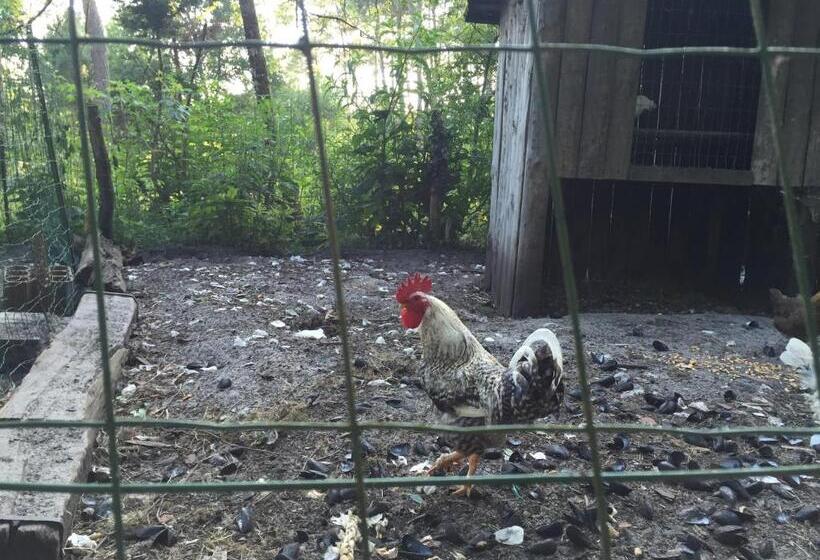 חדר סטנדרט נוף לגינה, La Maison De Caroline