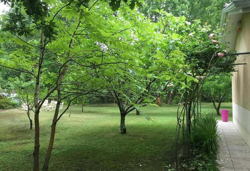 ガーデンビュースタンダードルーム, La Maison De Caroline