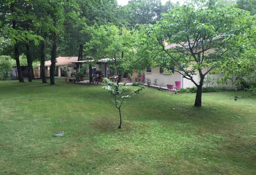 ガーデンビュースタンダードルーム, La Maison De Caroline