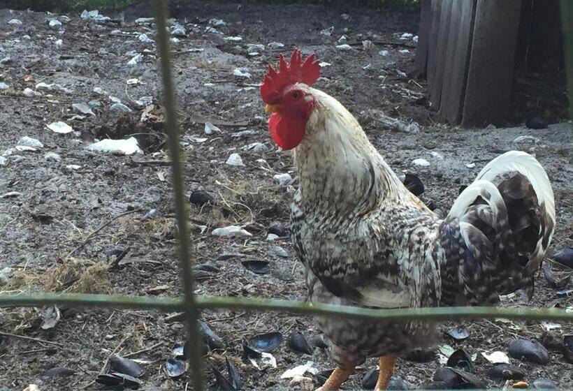 ガーデンビュースタンダードルーム, La Maison De Caroline