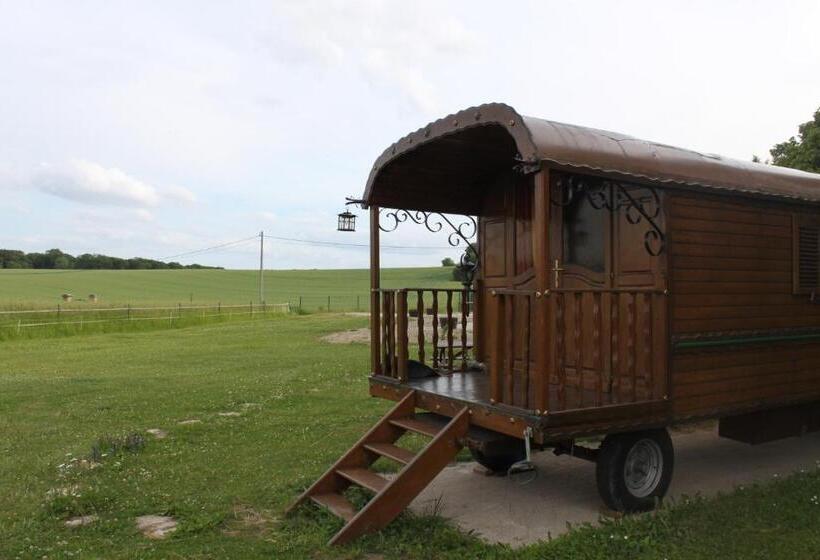 Номер Стандарт, Roulotte Montfée