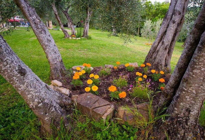 בית, חדר שינה 1, Agriturismo Bindozzino