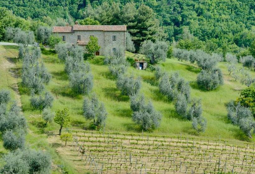 בית, חדר שינה 1, Agriturismo Bindozzino
