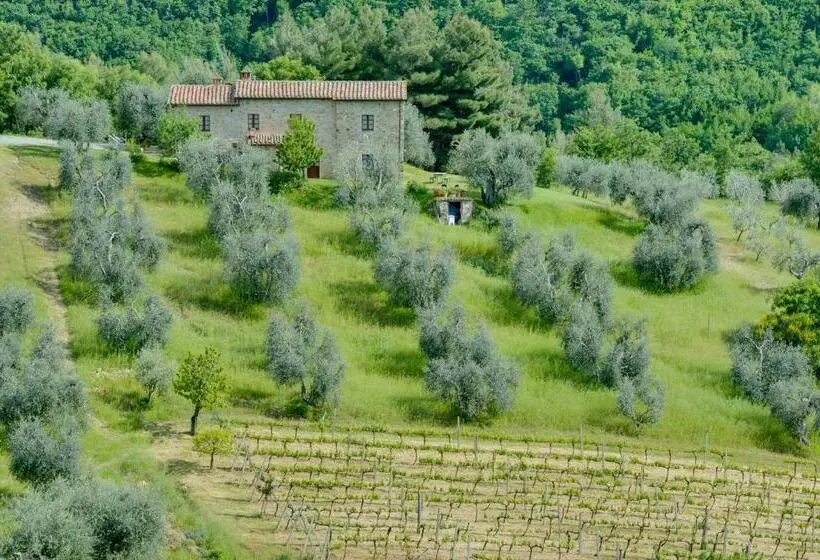 １ベッドルームハウス, Agriturismo Bindozzino