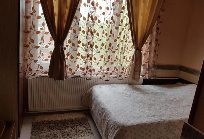Standard Yhden Hengen Huone, Family Hotel Zhelkovi   Olympia