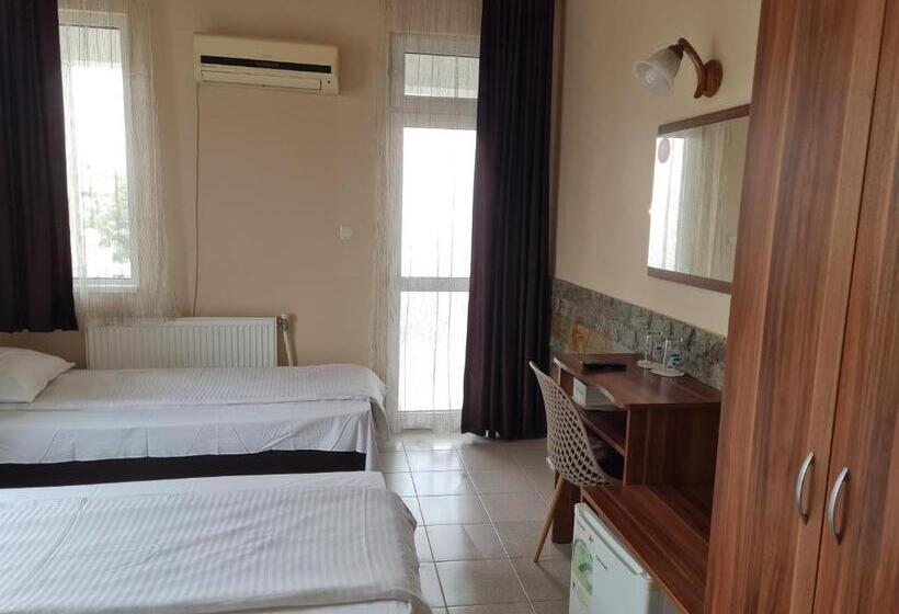 Номер Стандарт, Family Hotel Zhelkovi   Olympia