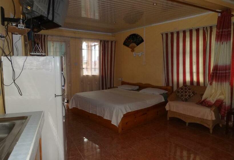 اتاق لوکس با بالکن, Son House Studio