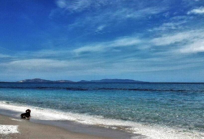 スタンダードルーム, Affittacamere Casa Maica