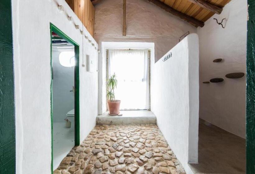 חדר סטנדרט לארבעה, Casa Paço D`ilhas