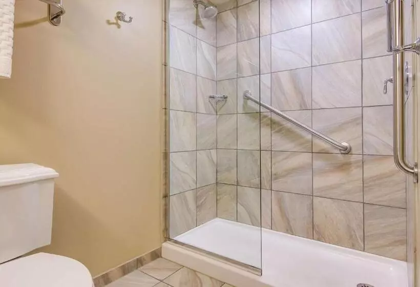 اتاق استاندارد, Best Western Plus Traverse City