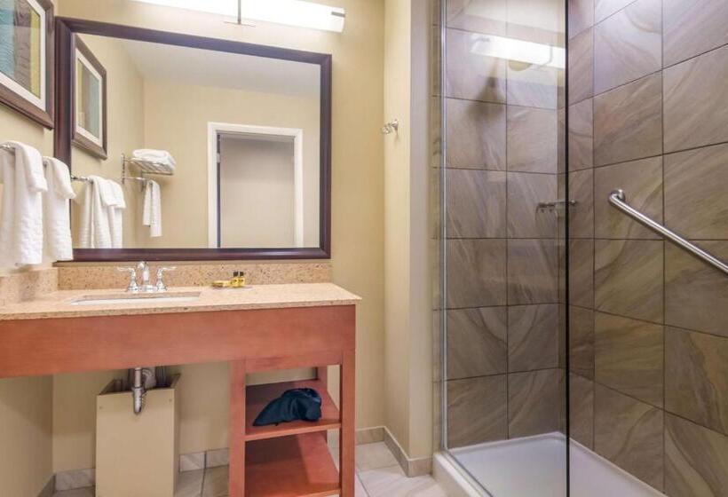 חדר סטנדרט עם מיטת קינג, Best Western Plus Traverse City