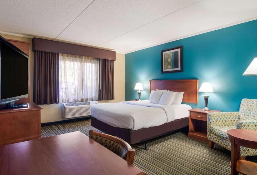 带大床的标准间, Best Western Plus Traverse City