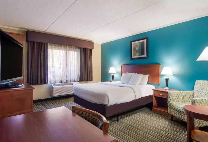 اتاق استاندارد با تخت بزرگ, Best Western Plus Traverse City