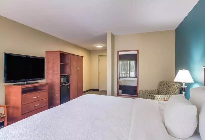 اتاق استاندارد با تخت بزرگ, Best Western Plus Traverse City