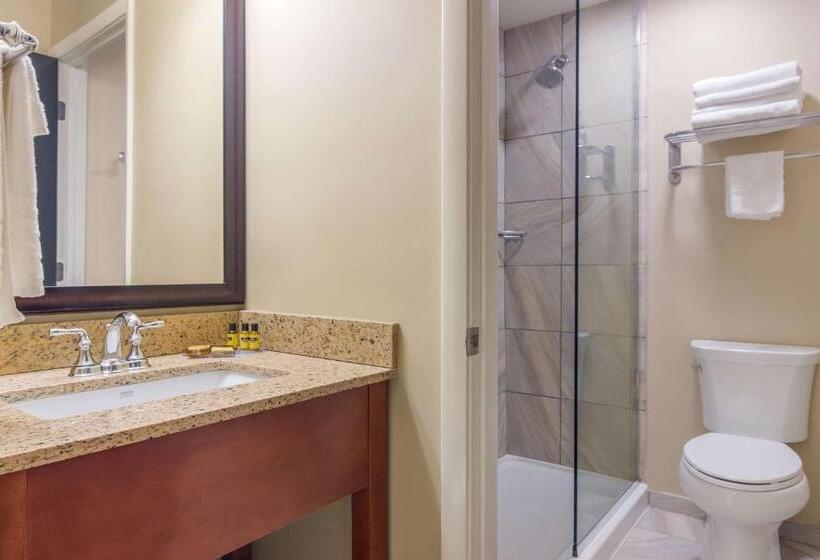 标准间, Best Western Plus Traverse City