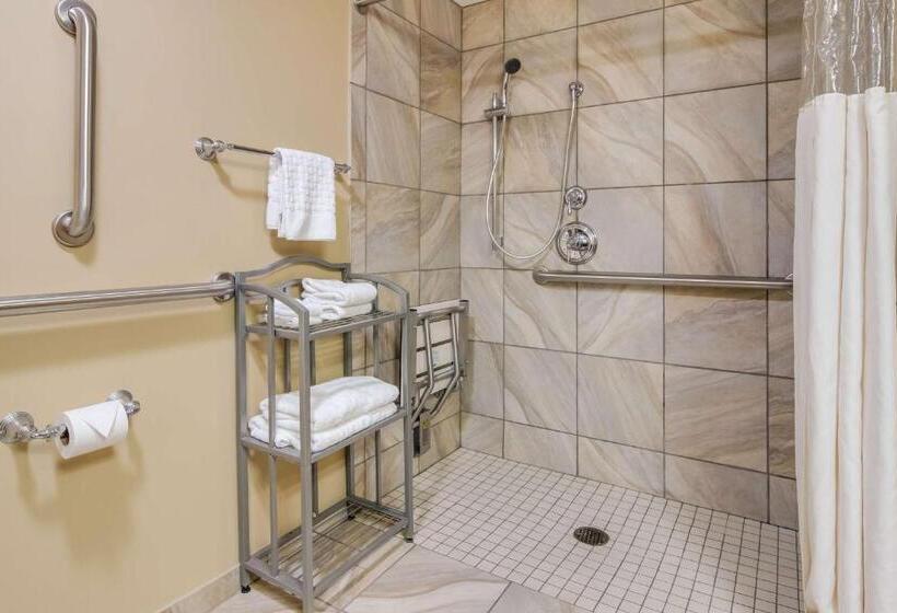 חדר סטנדרט, Best Western Plus Traverse City