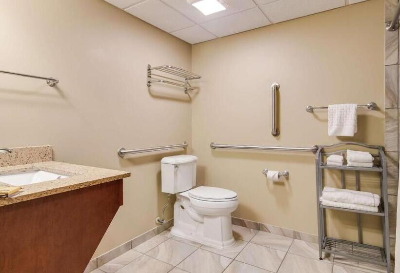 חדר סטנדרט, Best Western Plus Traverse City